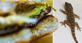 Wanita Kaget Kejutan Kadal Jepit di Pesanan Burger Big Tasty McDonald's